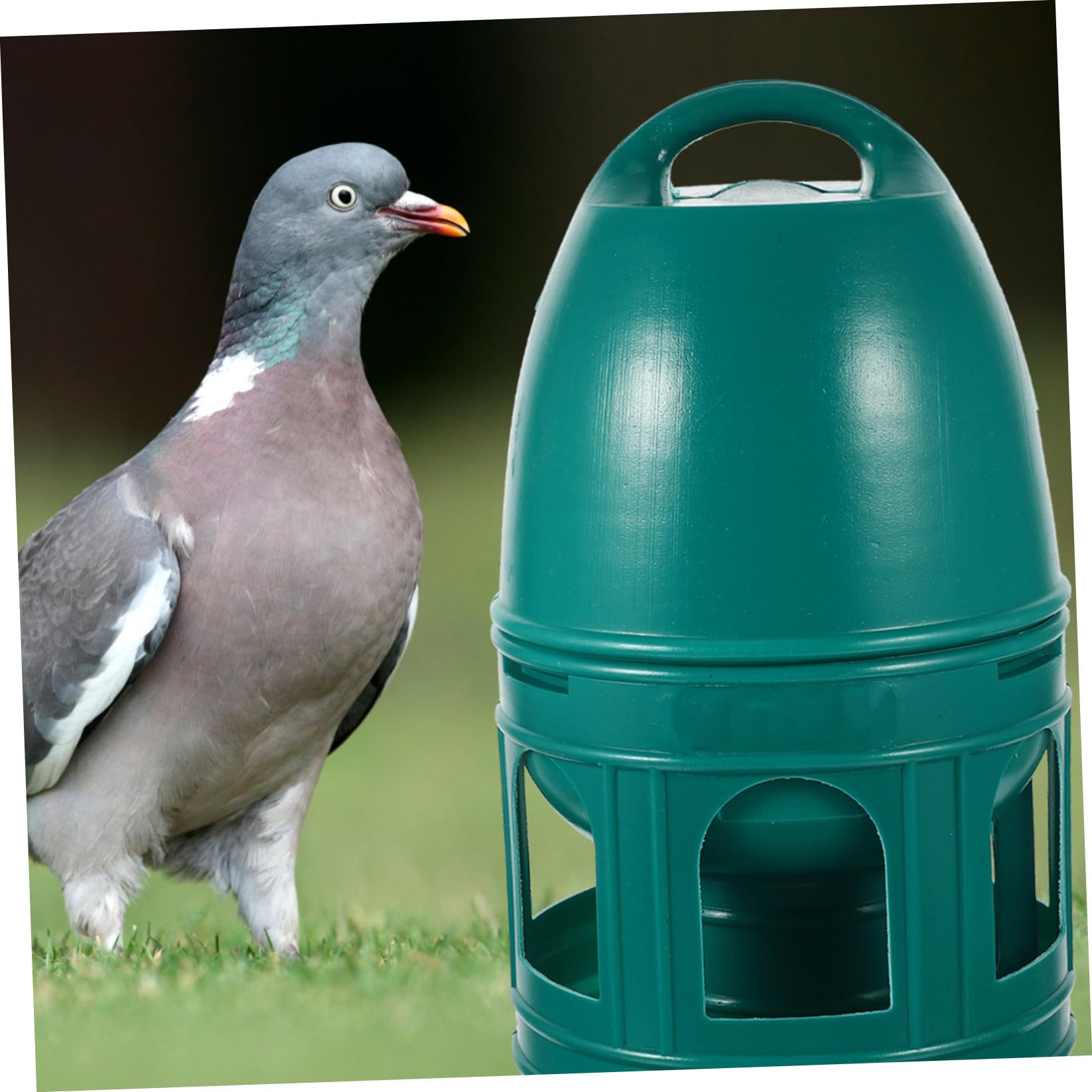 Bebedero para Pájaros Domésticos de Plástico Verde de 3l Diseño Redondo Portátil y Removible Adecuado para Tiendas de Mascotas y Zoológicos