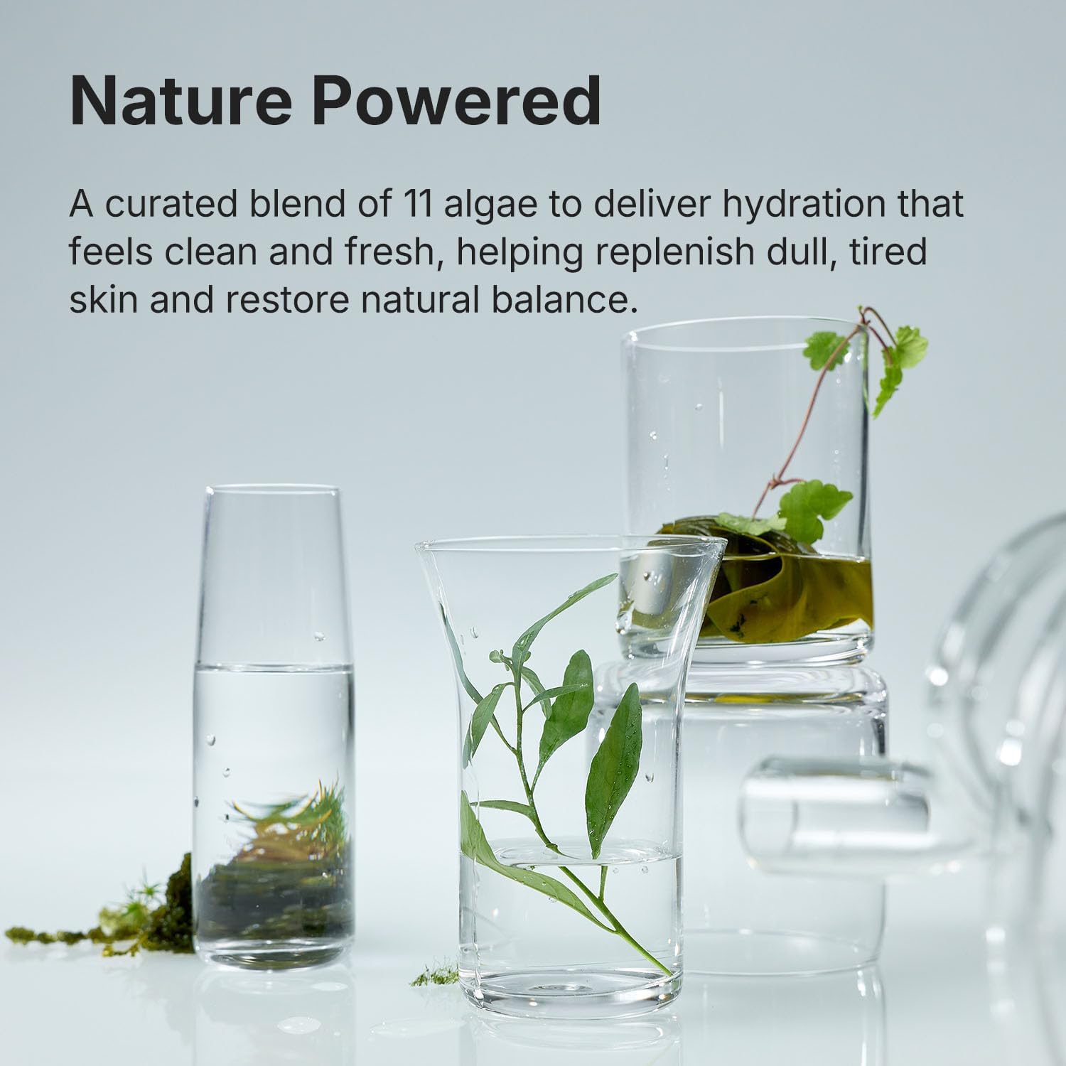 Refreshing Hydration Toner, Korean Face Toner with Hyaluronic Acid & Algae11, Hydrating & Calming for Glass Skin, Dry or Oily Skin, K-Beauty Skincare 150ml / 5.07 fl.oz. - Image 4