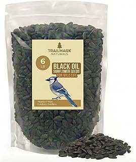 Black Oil Sunflower Bird Seed