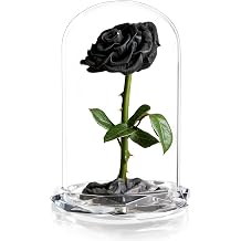 INTIGNIS Preserved Real Rose in Glass Dome Gift, 25cm Tall Large Eternal Flower Lasts up to 5 Years, 8cm Rose Head, Diamond-Cut Perspex Base, Valentine & for Her Black