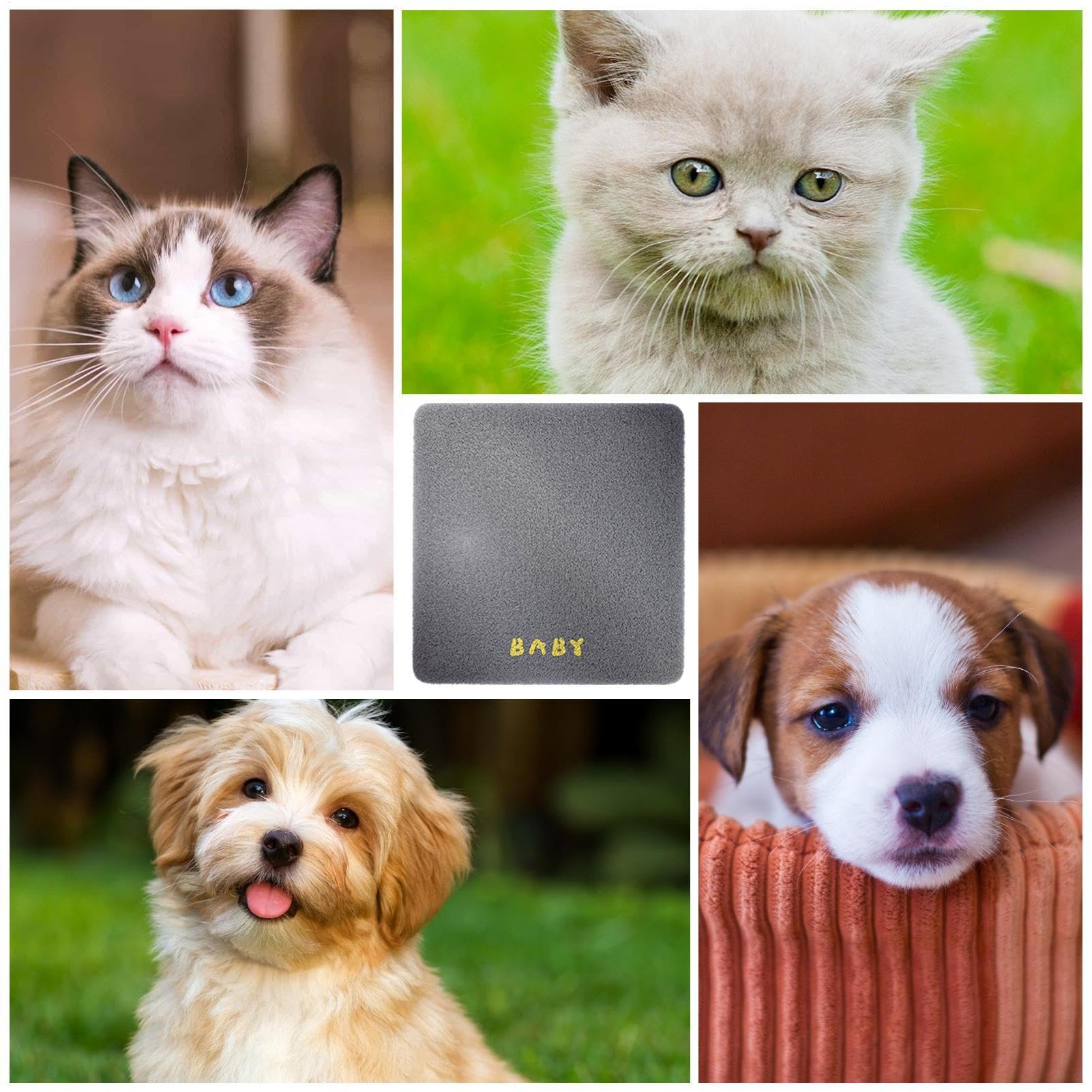 Almohadilla térmica para Gatos, Manta eléctrica para Mascotas | Manta eléctrica de Calentamiento rápido - Suministros de Invierno para Mascotas, Manta de Invierno en