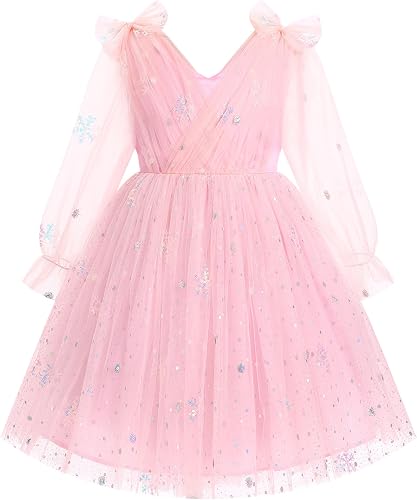 Toddler Kids Girls Spring Fall Long Puff Sleeve Floral Embroidery Ruffle Tulle T