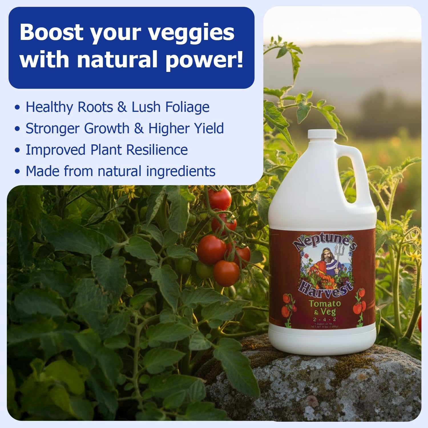 Neptune’s Harvest Organic Tomato & Vegetable Plant Fertilizer (2-4-2) - 142oz Bottle - Liquid Plant Food w/Fresh Fish, Seaweed, Molasses, Yucca Extract, & Humic Acids - for Vegetable Garden - Image 5