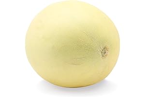 Sweet and Refreshing Cantaloupe: A Fresh Delight for Summer