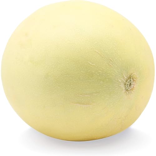 Honeydew Melon, 1 Each