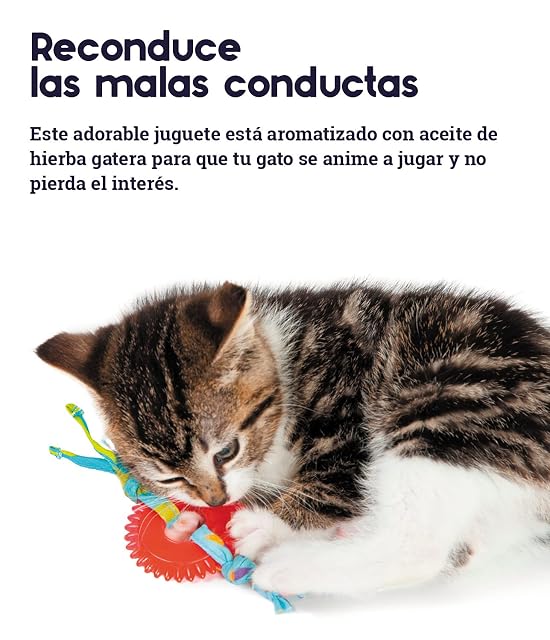 Foto 5 de 6 de Petstages Kitty Chew Wheel - Juguete para morder para Gatos - Aromatizado con Hierba gatera