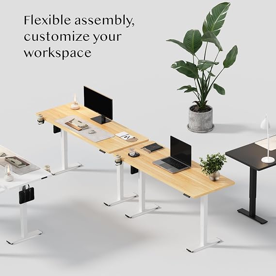 FLEXISPOT E1 Plus Electric Standing Desk Height Adjustable Sit Stand Desk