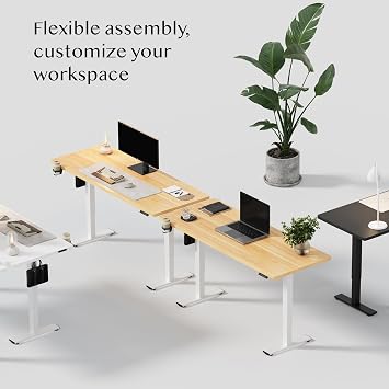FLEXISPOT E1 Plus Electric Standing Desk Height Adjustable Sit Stand Desk