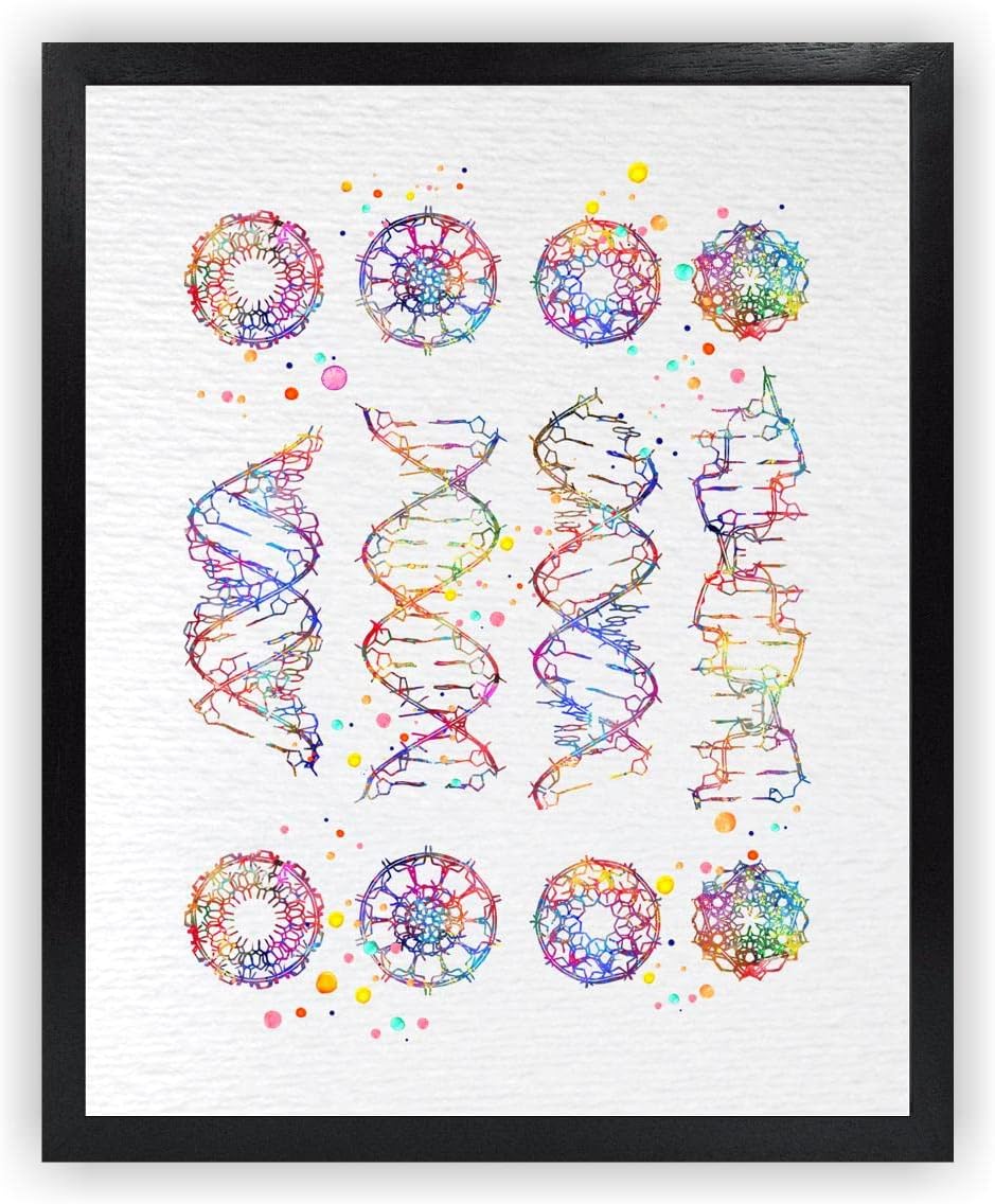 Dignovel Studios 11X14 Unframed DNA Helix Molecule A-B-C-Z Watercolor Art Print Medical Science Genetic Doctor Laboratory Biology Home Office Wall Hanging Poster DN682