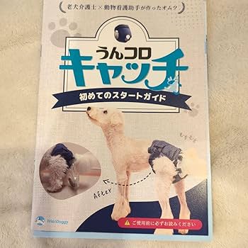 Amazon.co.jp: うんコロキャッチ Mサイズ : おもちゃ