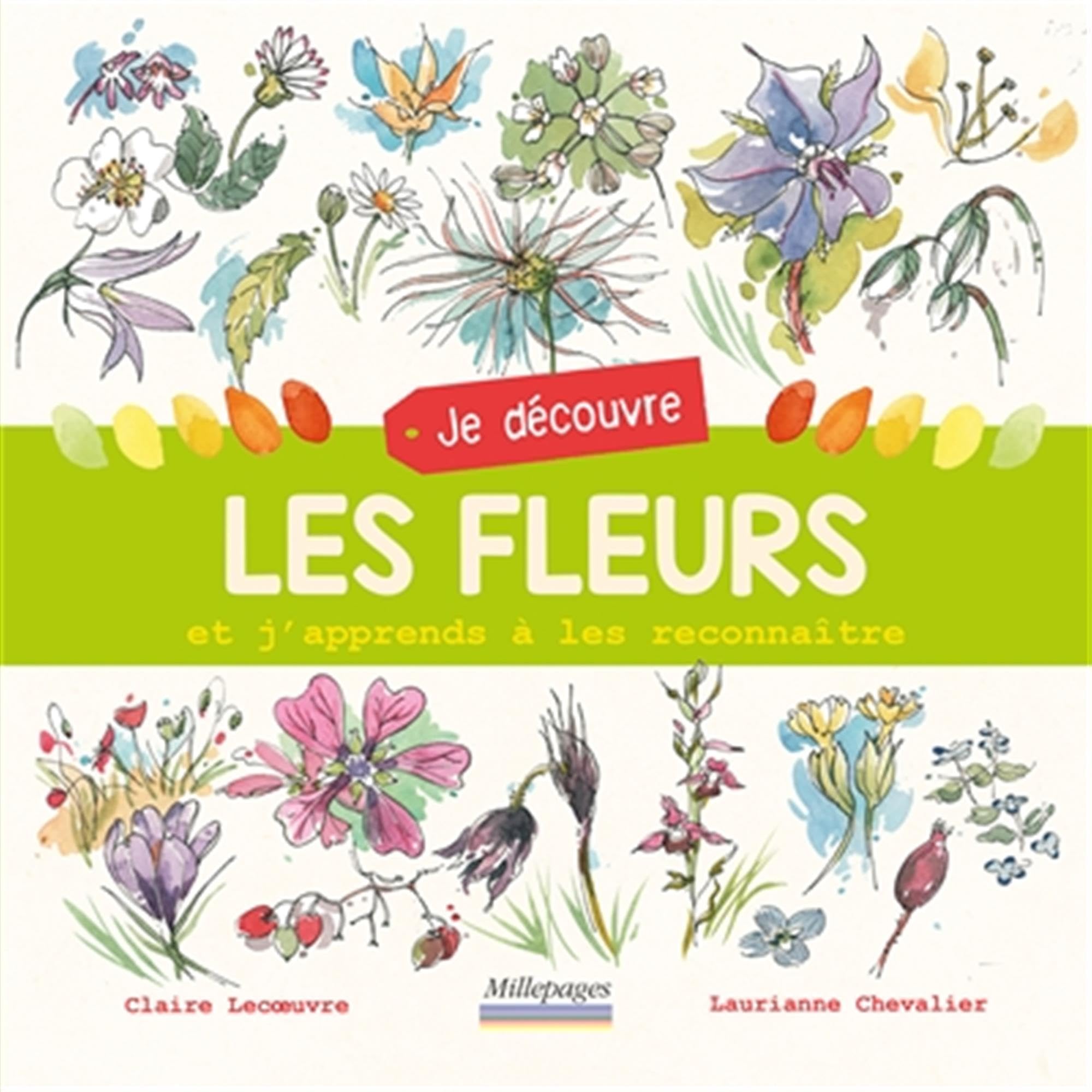 Je découvre les fleurs: Et j'apprends à les reconnaître