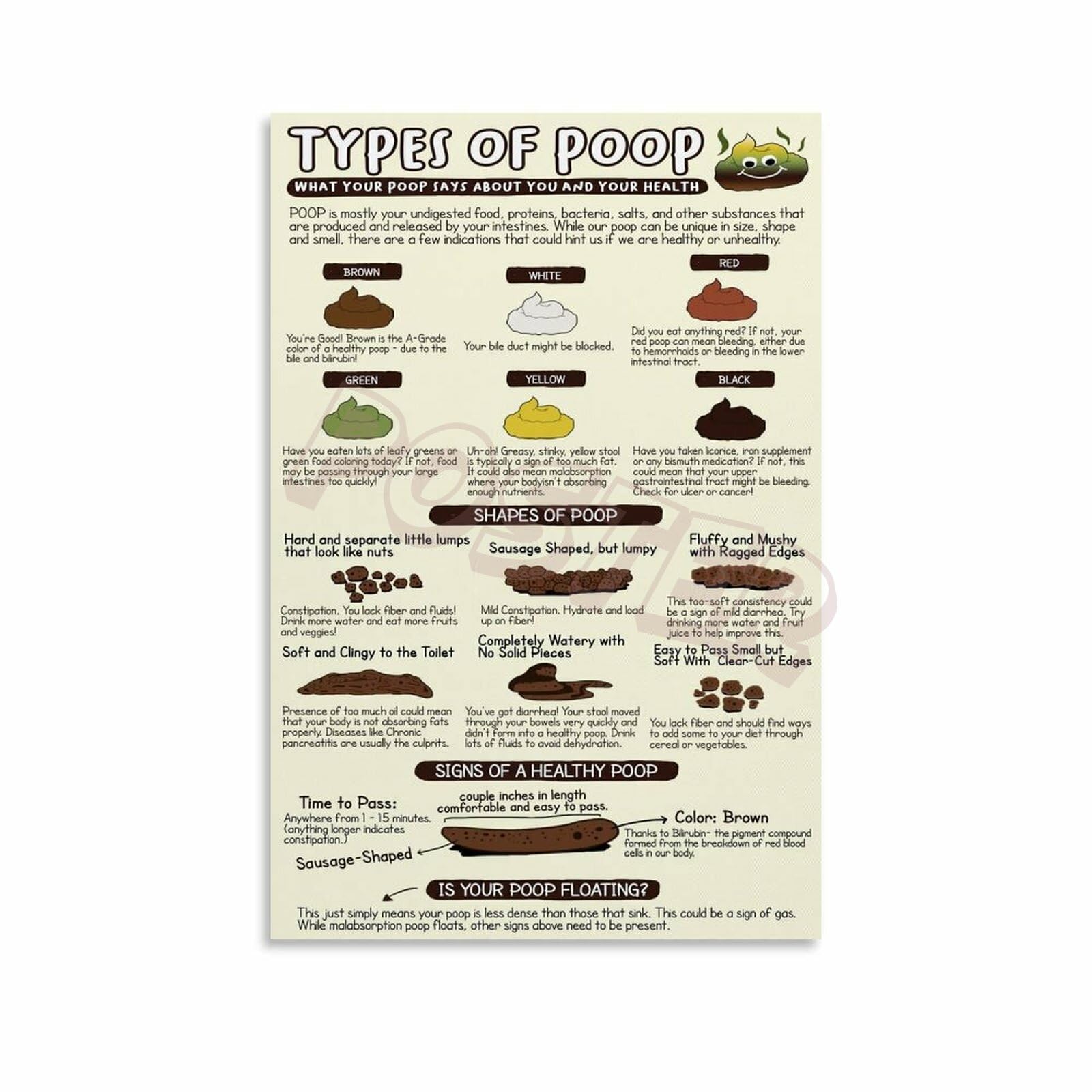 Bristol Stool Chart Color DHIDIC Bristol Stool Chart Poster Poop