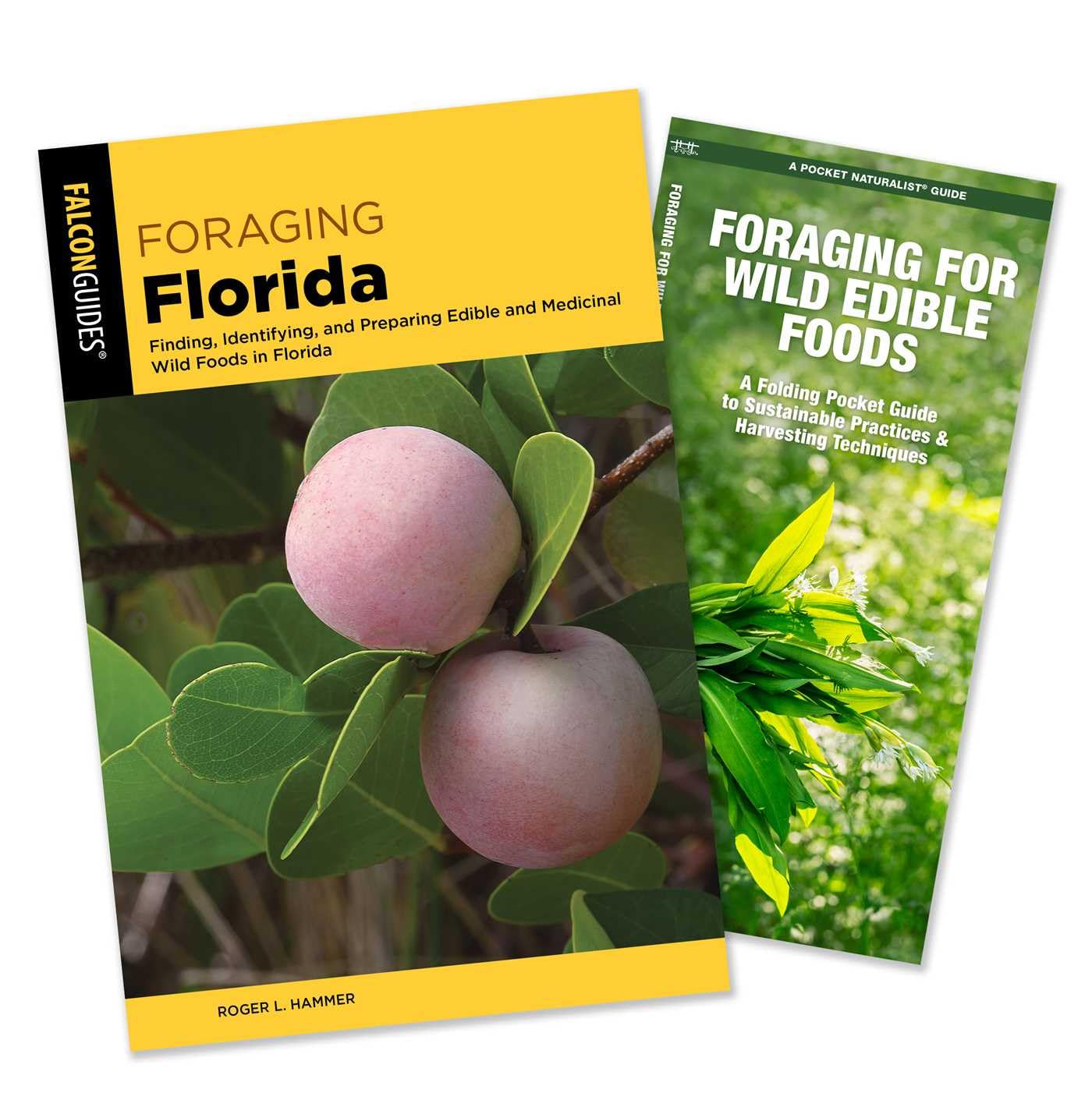 Foraging Florida Guidebook and Folding Pocket Guide Bundle: Finding, Identifying, and Preparing Edible and Medicinal Wild Foods in Florida