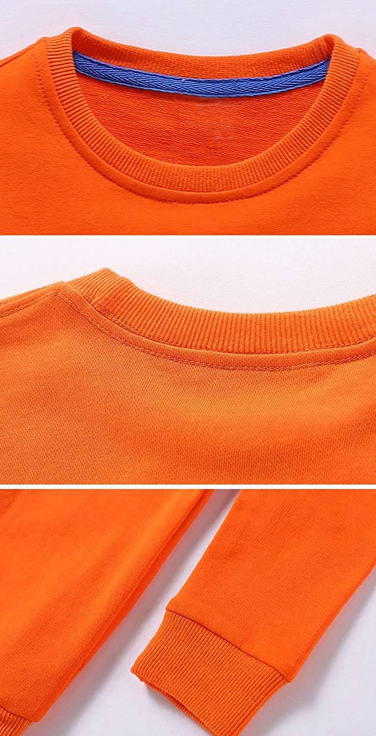 PTPuke Unisex Kids Cotton Crewneck Long Sleeve Thin Sweatshirt 1-8Years Pullover - Image 3