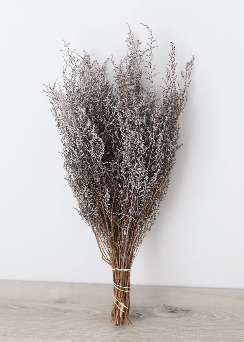 Afloral Natural Stoebe in Gray White