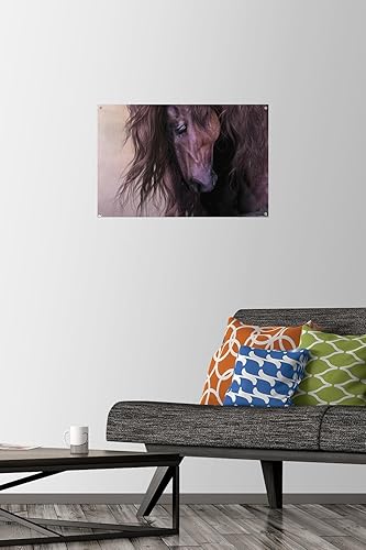 Miniatura 2 de Trends International Laurie Prindle - Equus Wall Poster with Push Pins
