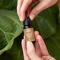 Vista 2 de Edens Garden Aceite Esencial de Incienso Alrededor del Mundo - 100% Puro Grado Premium, Sin Diluir, Natural, Terapéutico, Aromaterapia, Lo Mejor