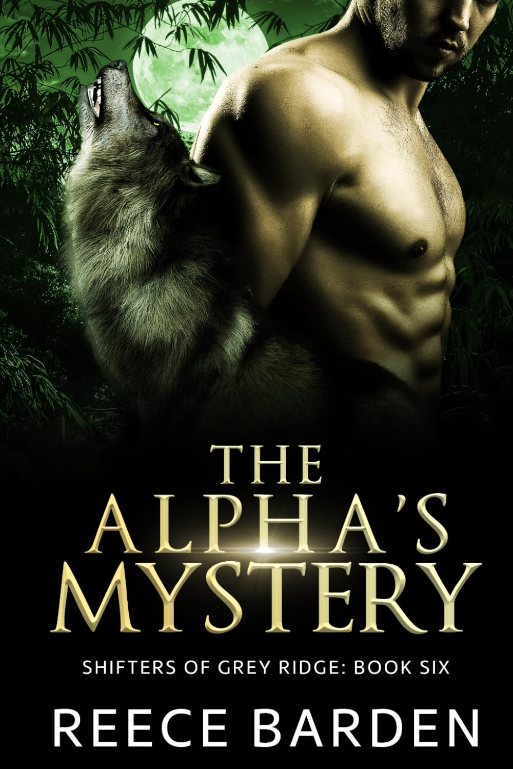 The Alpha's Mystery: A Shifter Romance (Shifters of Grey Ridge)