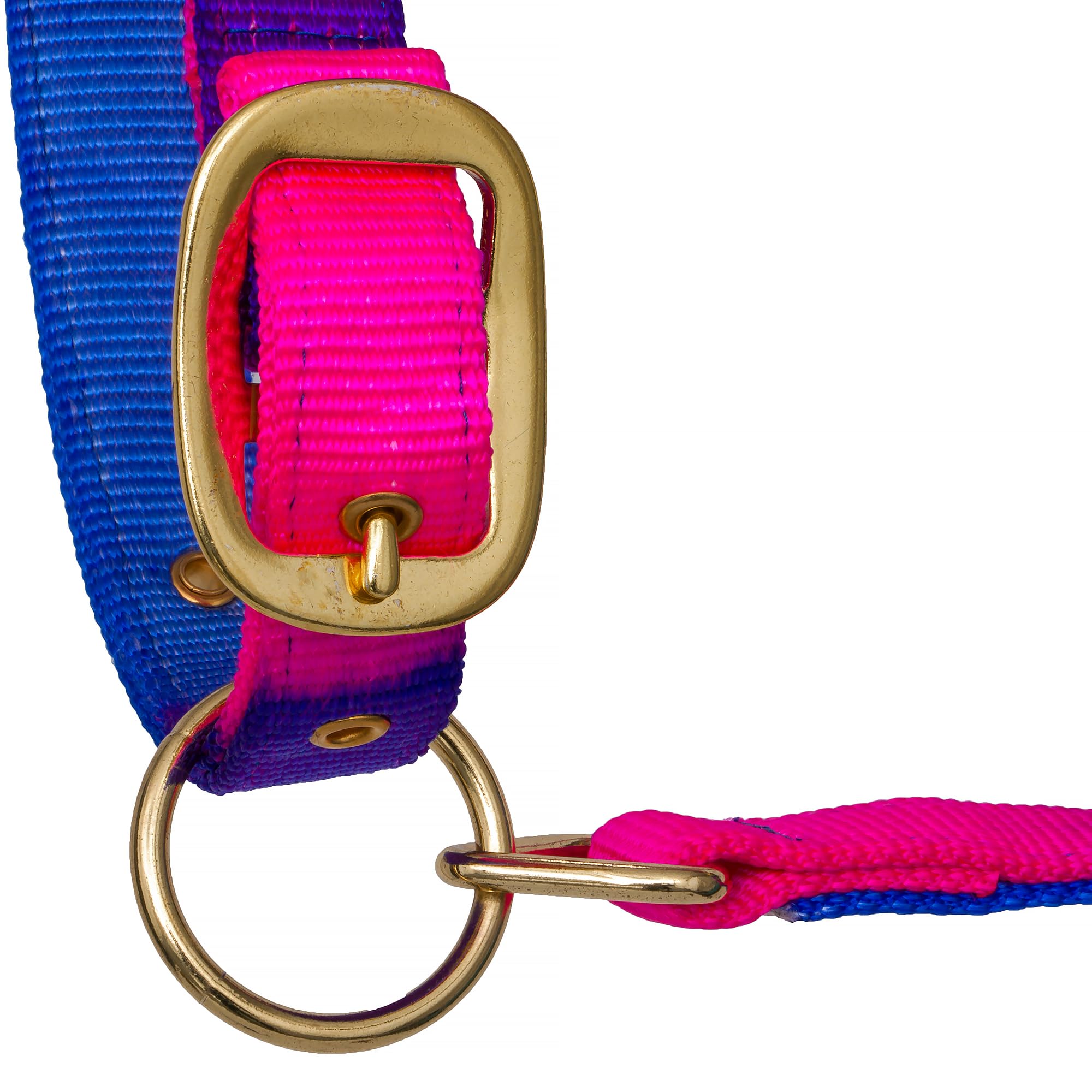 Start Halfter für Pferde – verstellbares Pferdehalfter mit Karabiner, strapazierfähig & komfortabel, Stallhalfter für Pony, Cob, Full (Warmblut) (Rosa/Violett/Blau, Cob (Vollblut))