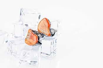 Amazon.co.jp: DUNU SA6mk2 : 家電＆カメラ