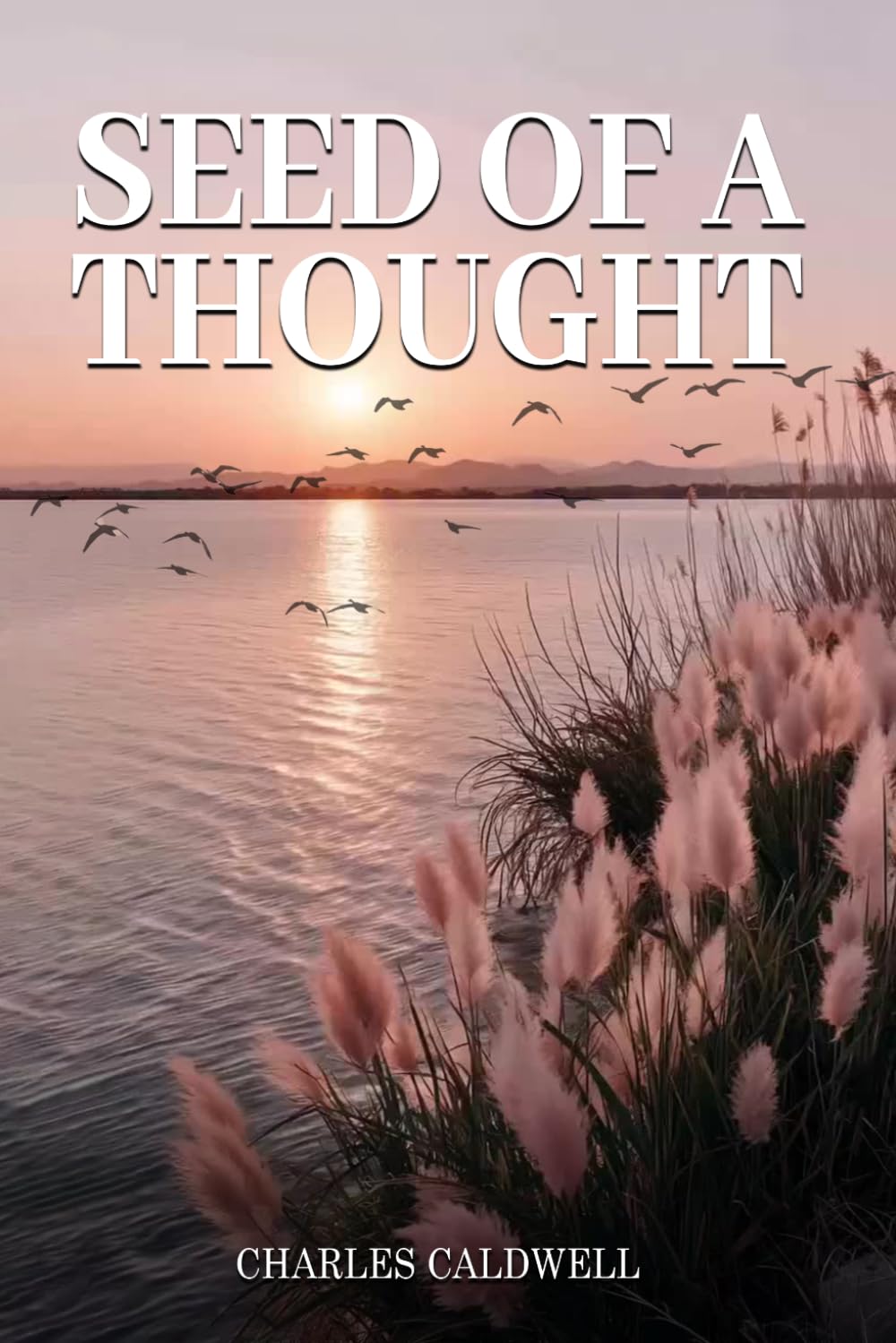 Seed Of a Thought