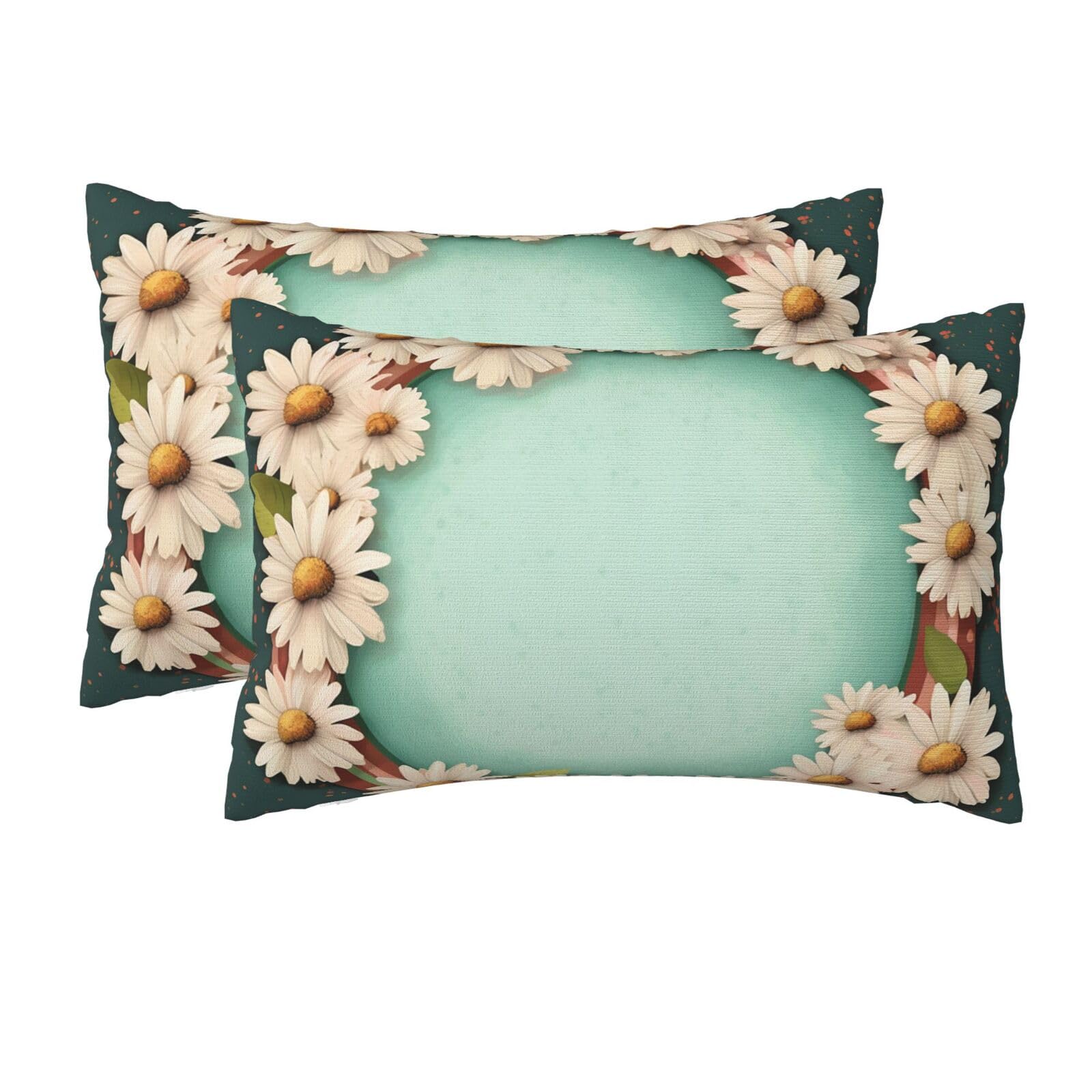2 Pack Queen Size Pillow Cases for Hair and Skin Soft Breathable Pillow Case Covers with Hidden Zipper with Daisies and Frame Pillowcase 20x30 Inches Pillow Cover for Sleeping Gift