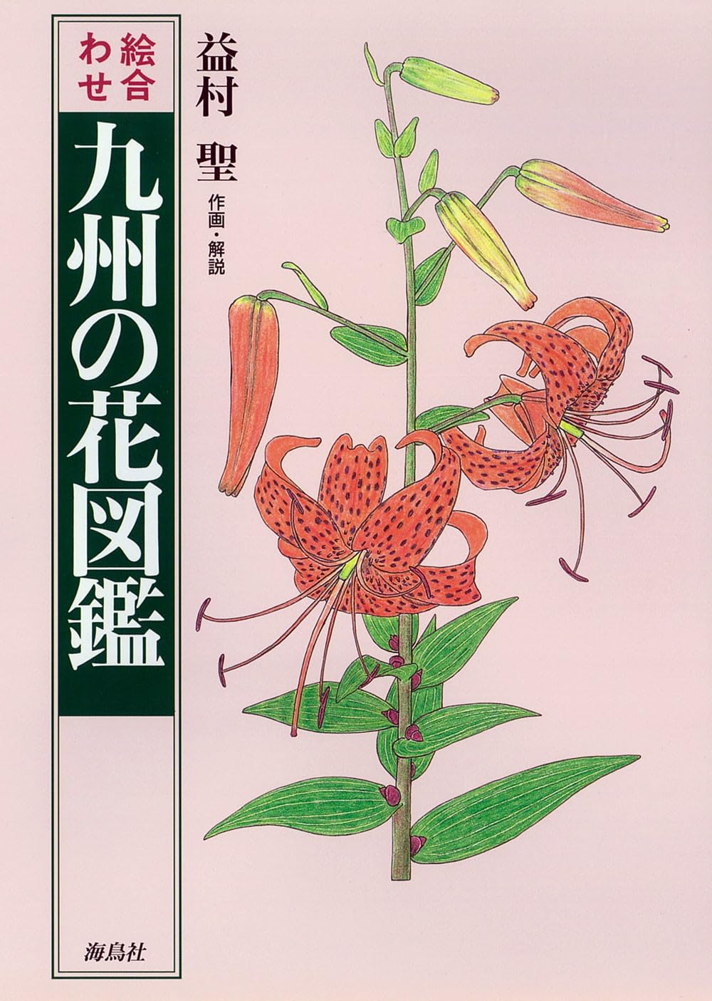 九州の花図鑑: 絵合わせ | 益村 聖 |本 | 通販 | Amazon