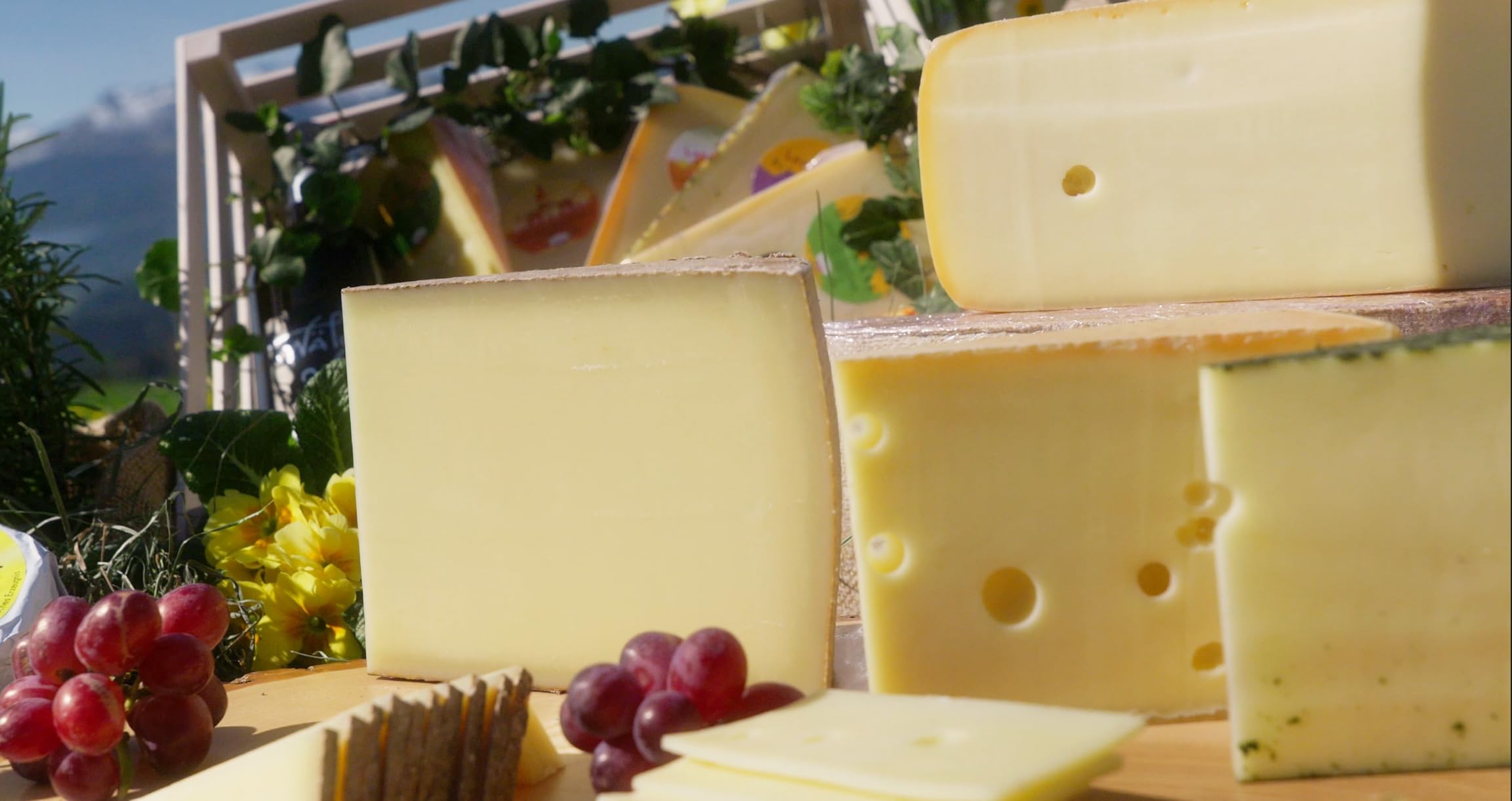 Langenegger Pfefferkäse – Doppel-Gold 2024 & 2025 – Würzig-pikant mit schwarzem Pfeffer – 100% Heumilch & laktosefrei – Frisch vom Laib geschnitten (300 g)