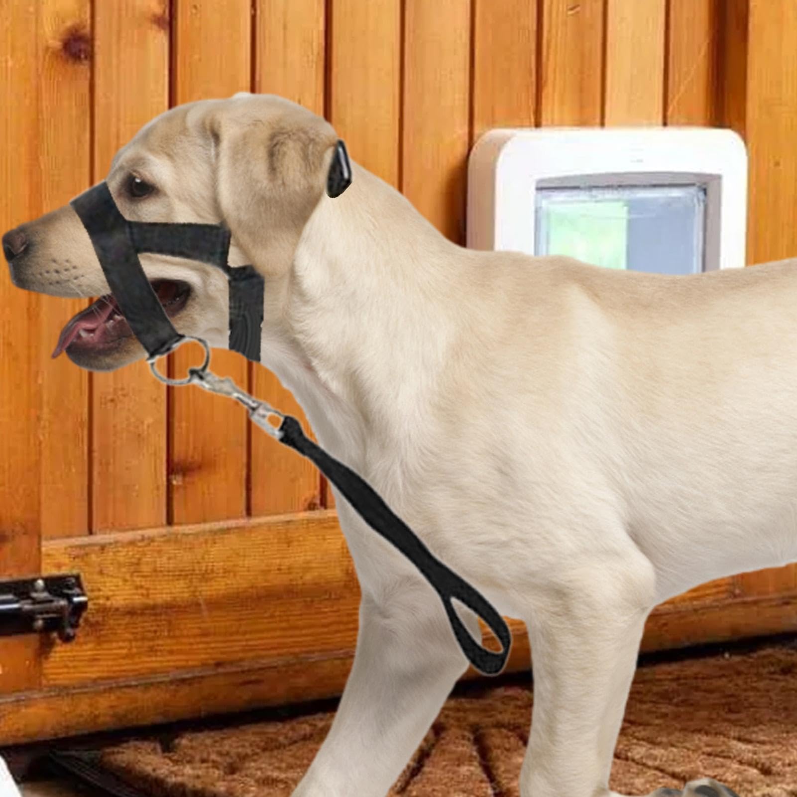 Hondenmuilkorf | Harnas Hondenhalster Huisdier Muilkorf met verstelbare riemen | Zwarte Hond Mondbeschermer Trainingshouder Voorkomt blaffen, bijten en kauwen