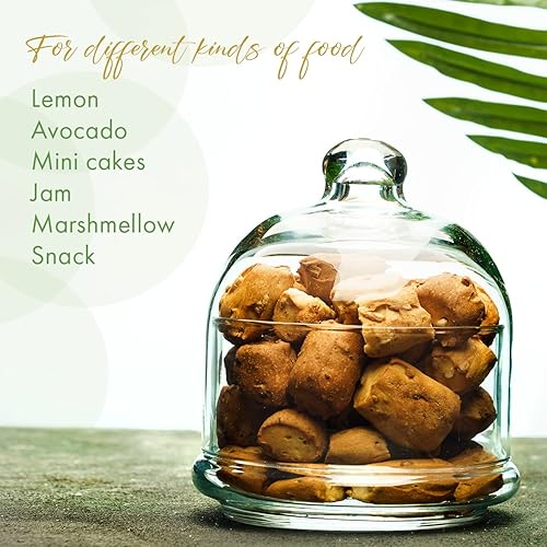 Miniatura 3 de The Buybox Premium - Recipiente de cristal para aguacate, cebolla, tomate y limón, para guardar alimentos, alimentos, frutas, mantequilla, queso,