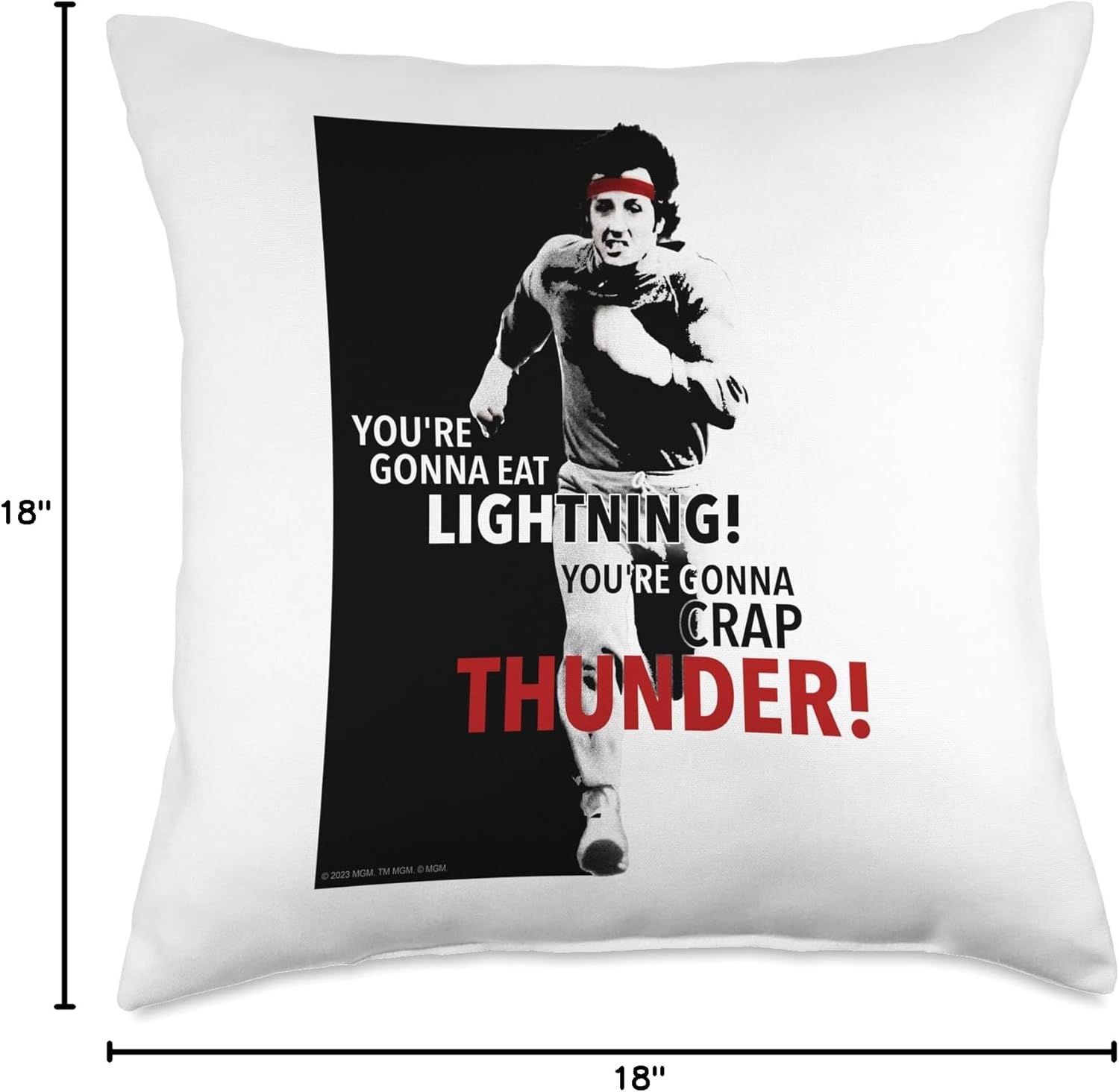Rocky You're Gonna Eat Lightning Throw Pillow