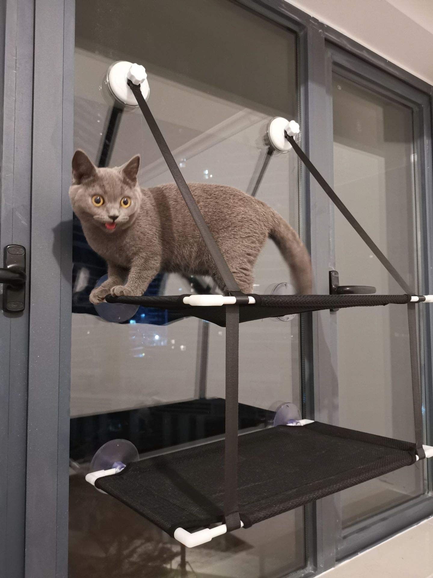 Amaca per Gatti a Doppio Strato con Installazione Sospesa, Forte Ventosa, Morbido Sedile di Riposo per Finestra per Gatti per Balcone e Altro Ancora (Black)