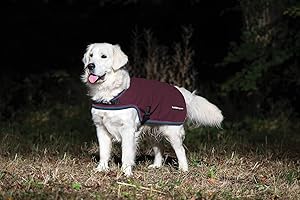 Rambo Waterproof Dog Blanket: A Safe Haven for Furry Explorers