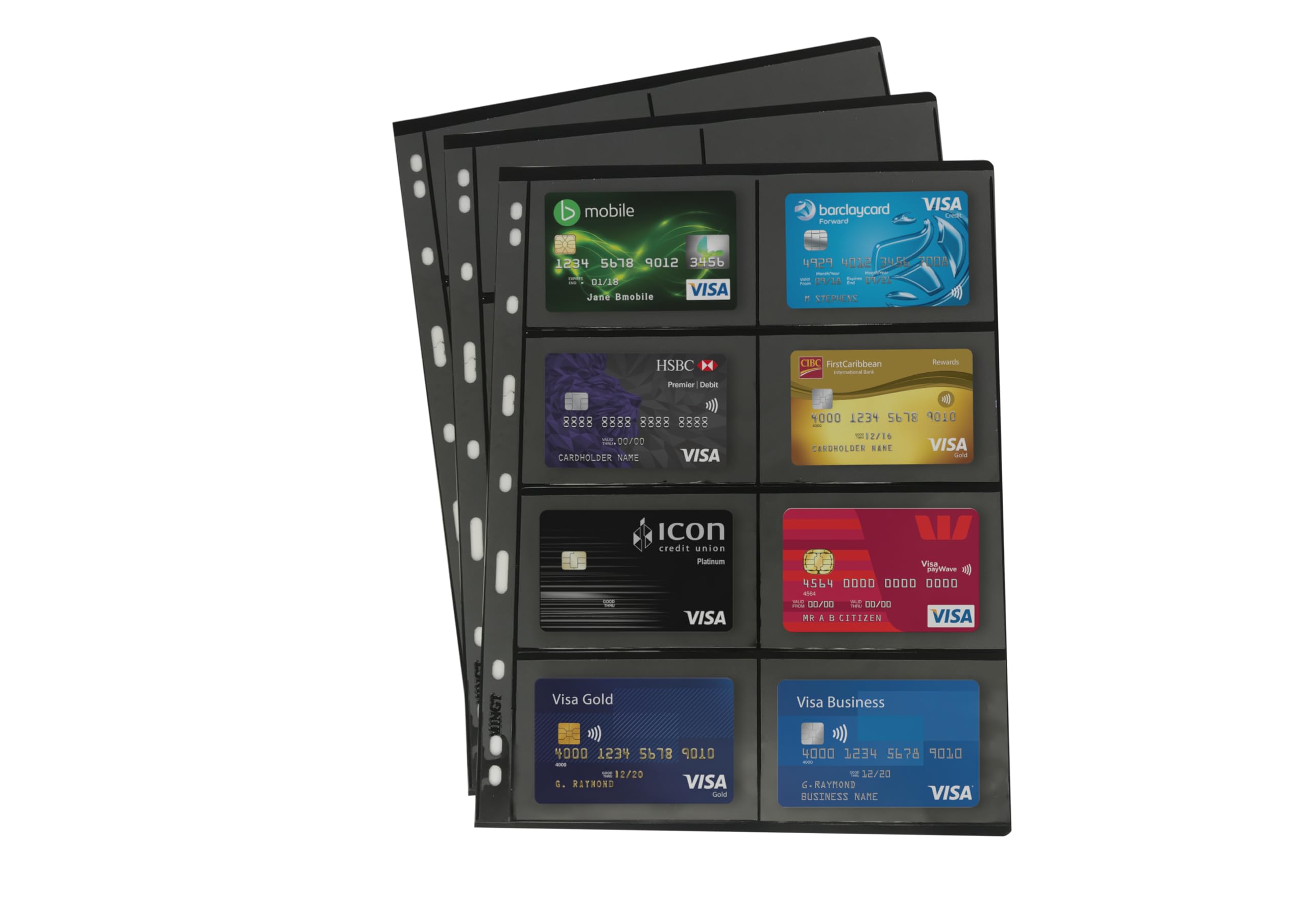 PCCB MINGT 10Pcs Standard 9-Hole Black Double-Sided Album Inner Sheets Stamp Banknote Collection Album Inserts Pages For Coin Collecting And Supplies (8 Pockets)