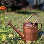 1 Gallon Copper Metal Watering Can, Removable Spout | Vintage Plant Water Can for Indoor, Outdoor, Garden, and Patio Use