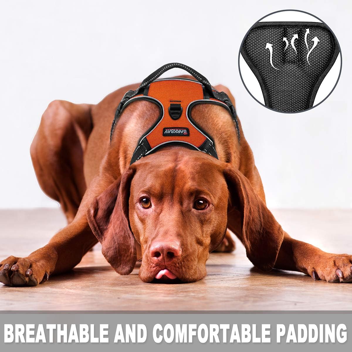 BARKBAY Dog Harness No-Pull Pet Harness Adjustable Outdoor Pet Vest Front Clip Heavy Duty 3M Reflective Oxford Material Vest for Dogs Easy Control for Small Medium Large(Orange,M) Dogs(Orange,M) - Image 3