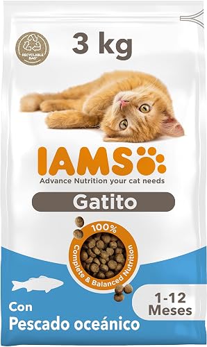 IAMS Alimento Seco para Gatitos de 1-12 Meses, Pescado oceánico, 3 kg