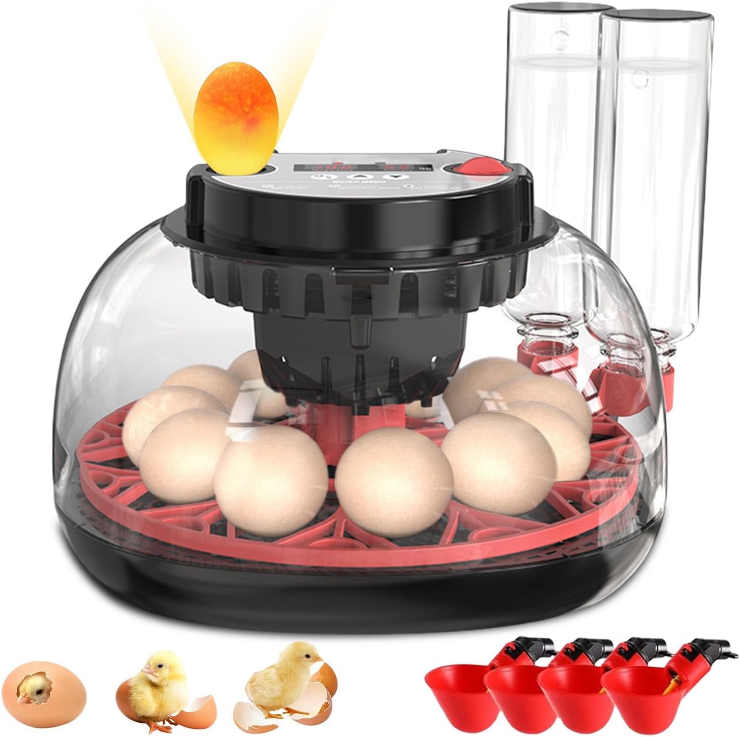 12 Eggs Incubator with Automatic Egg Turning and Auto Water/Humidity Control/Candler,for Hatching Parrot,Chickens,Ducks,Quails,Pigeon,Incubator for Farm, Home,Lab (12 Egg)