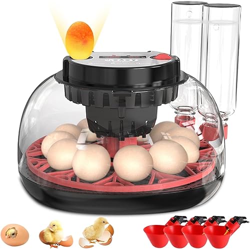 12 Egg Incubator with Auto Turner, Built-in Candler & Humidity Display, Suitable for Hatching Chicken Duck Quail Bird