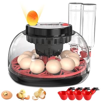 12 Egg Incubator with Auto Turner, Built-in Candler & Humidity Display | Suitable for Hatching Chicken Duck Quail Bird