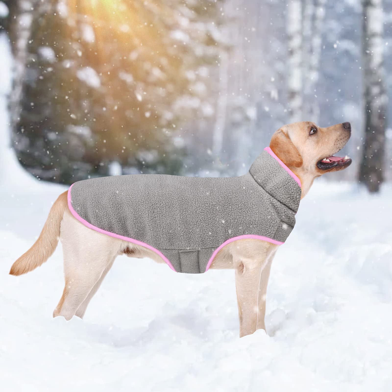 Malier Cappotto invernale per cani, reversibile in pile per cani, giacca per cani, giacca per cani di taglia piccola, media e grande (piccola, rosa)