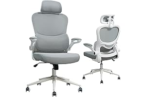 Ergonimic Office Chair: FLEXISPOT OC4-V2