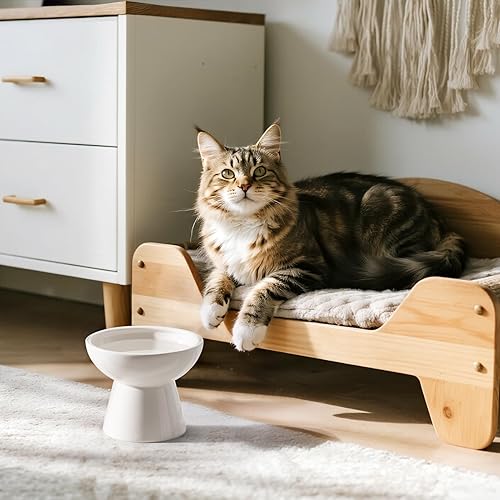 Miniatura 3 de Cuenco de agua elevado extra ancho de cerámica para gatos, plato de 6.2 pulgadas más profundo para aliviar la fatiga de los bigotes, 5 pulgadas de