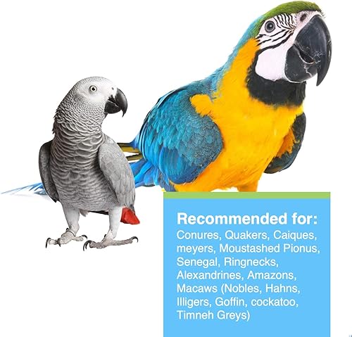 Miniatura 3 de Tropimix Premium Enriquecimiento de alimentos para loros grandes