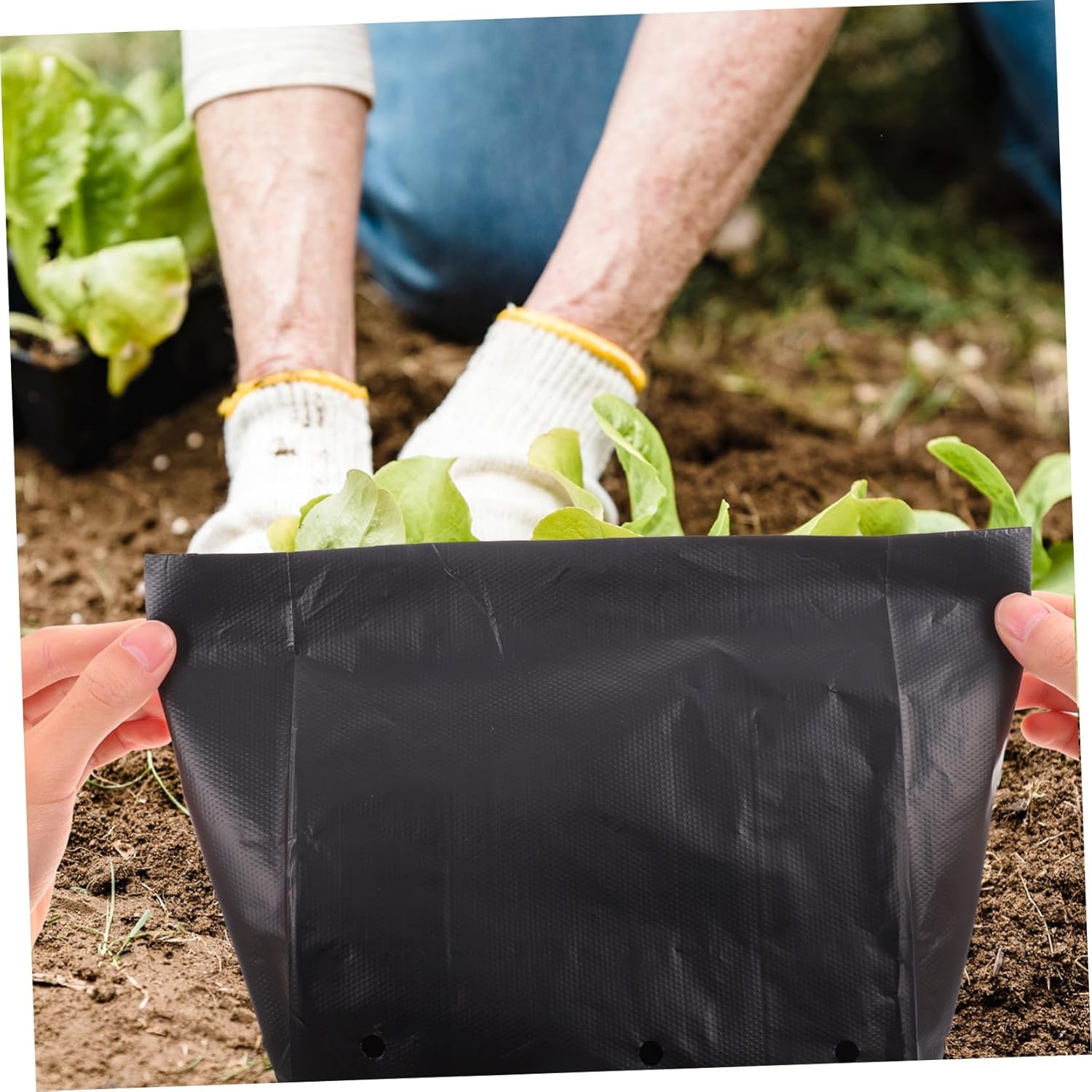 ibasenice 100pcs Thickened Pe Planting Bags for Vegetable and Fruit Trees Pouches for Optimal Root Growth and Water Retention for Bonsai and Garden Use