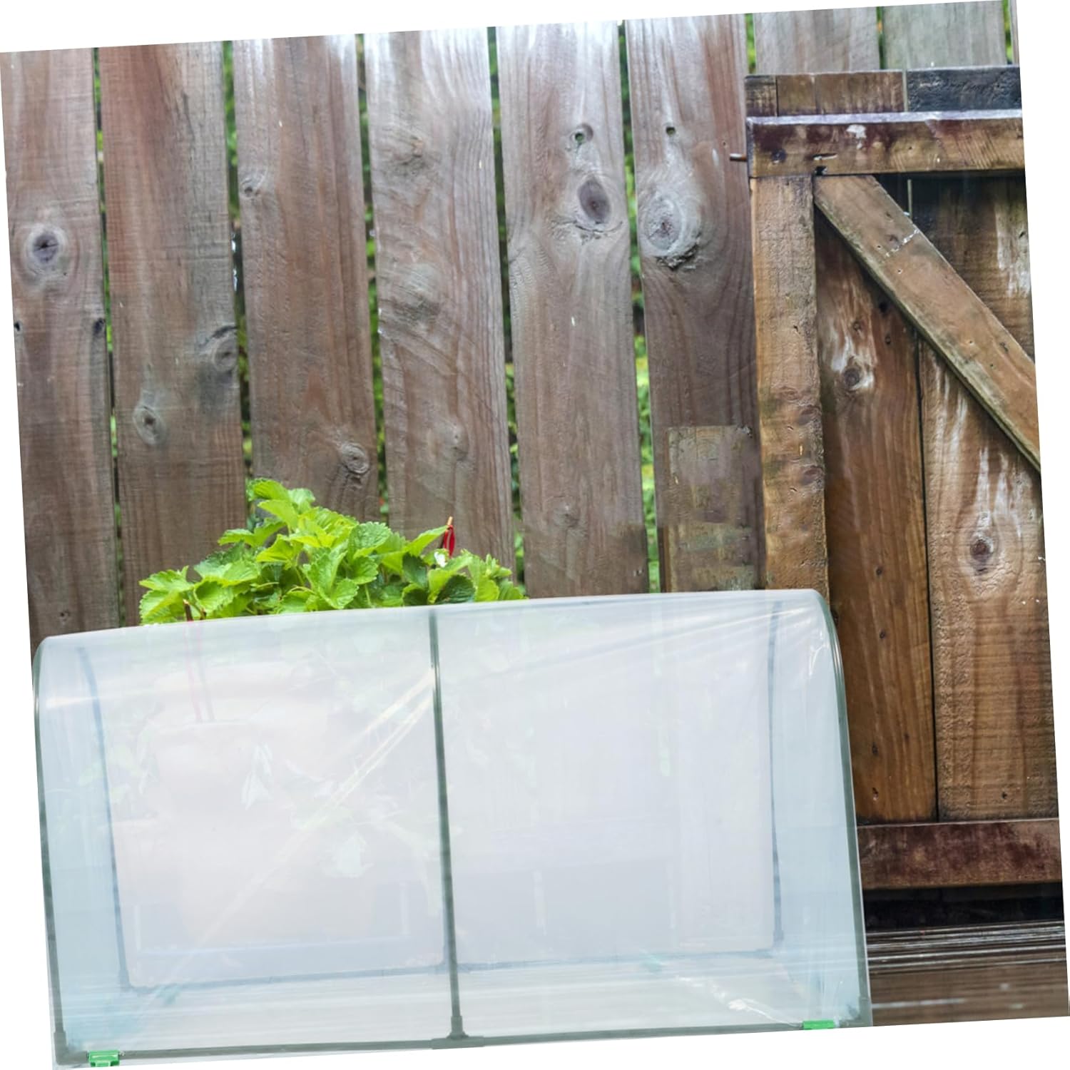 BESPORTBLE Insulated Cold Frame Cover Zipper Greenhouse for Outdoor Heat Preservation for Plants