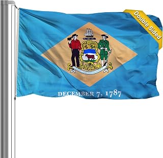 AZCOVER Delaware Flag 3x5 Ft, 3 Ply Double Sided State of Delaware DE Flags with 2 Brass Grommets and Canvas Header, Heavy Duty 150D Vivid Color Outdoor Banner