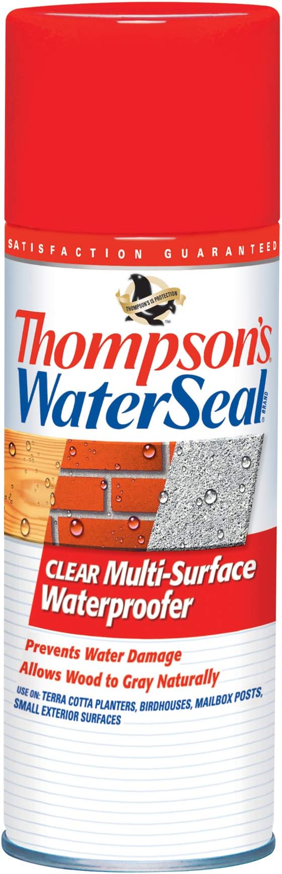 Thompson's TH.010100-18 Clear Multi-Surface Aerosol Waterproofer