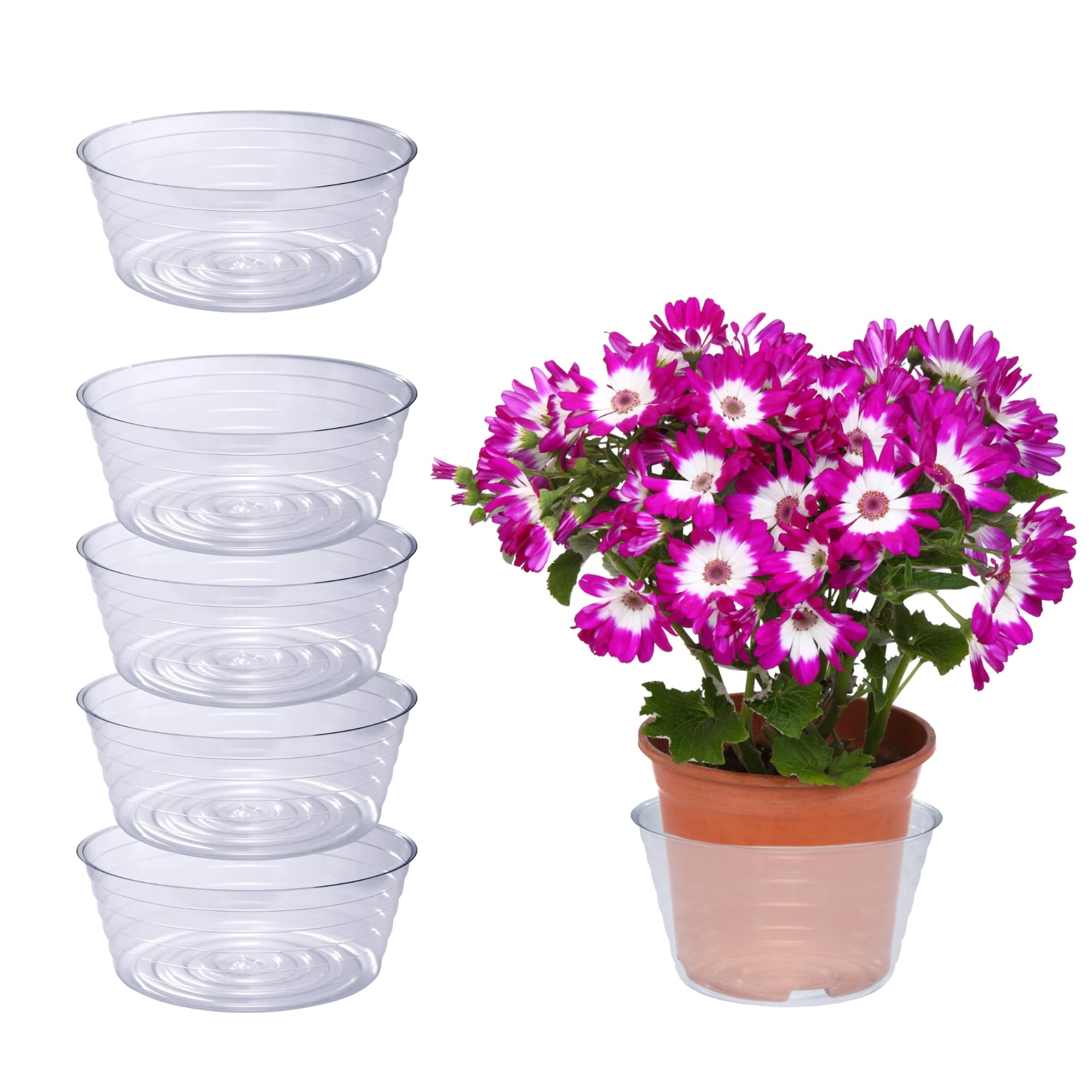 Curtis Wagner Drip Pan Saucer 5-Pack Deep