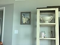 Review Image by Susan O'Connor Susan O'Connor